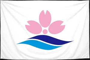 Флаг