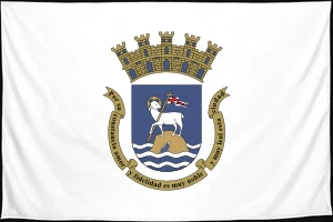 Флаг