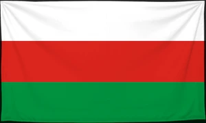 Флаг