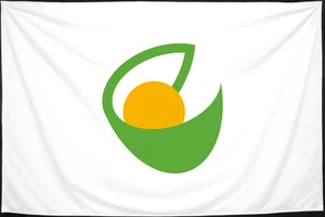 Флаг
