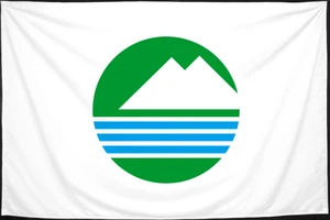 Флаг