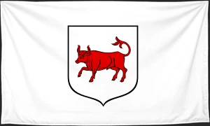 Флаг
