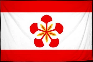Флаг