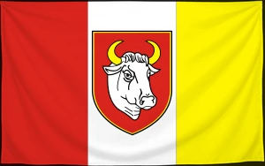 Флаг