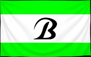 Флаг