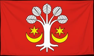 Флаг
