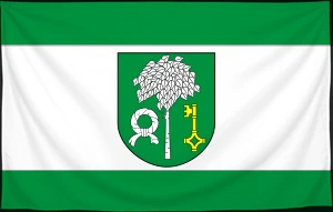 Флаг