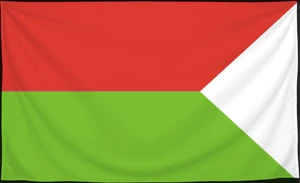 Флаг