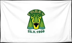 Флаг