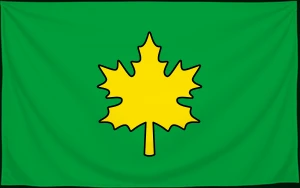 Флаг