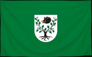 Флаг