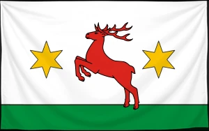 Флаг