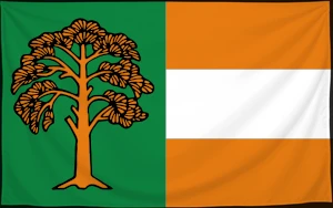 Флаг