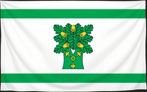 Флаг