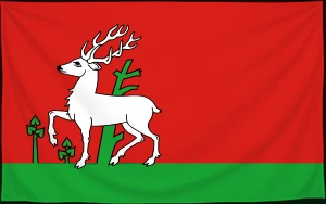 Флаг
