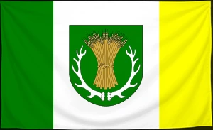 Флаг