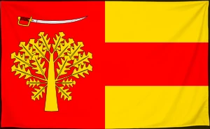 Флаг