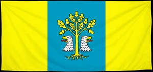 Флаг