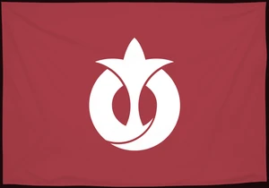 Флаг