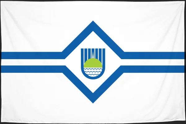 Флаг: Биробиджан