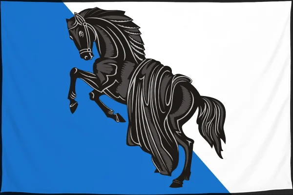 Флаг: Касли