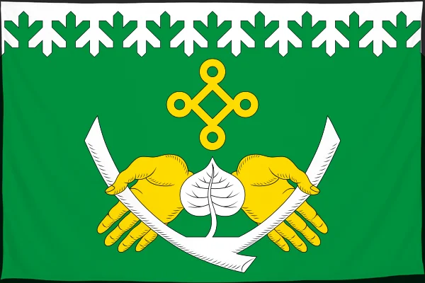 Флаг: Костомукша