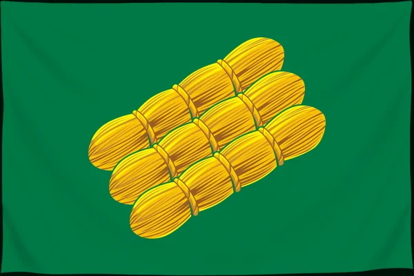 Флаг: Пудож