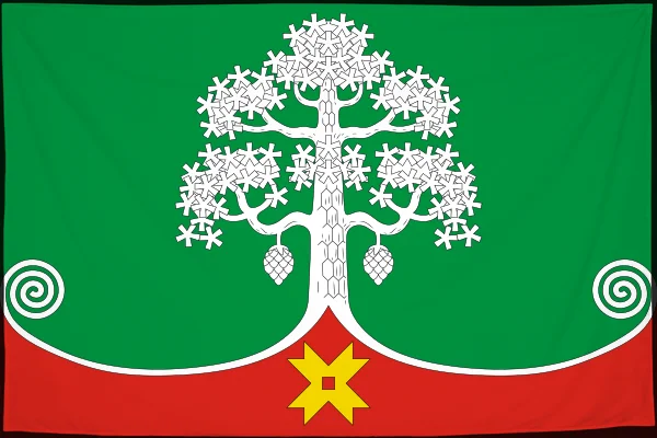 Флаг: Сегежа