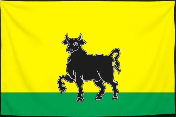 Флаг: Сызрань