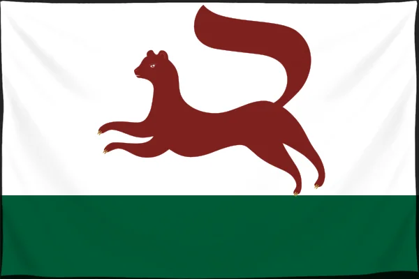 Флаг: Уфа
