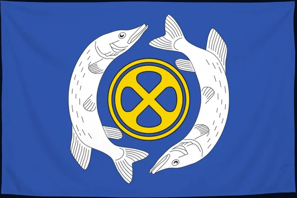 Флаг: Щучье